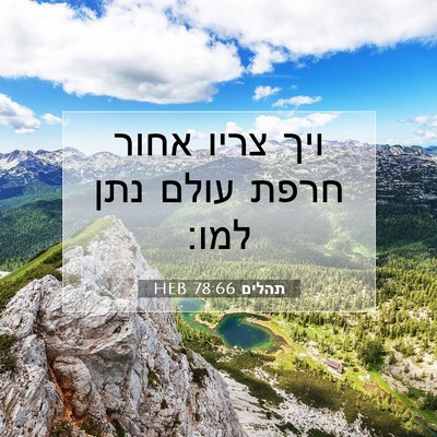 Picture 07 - תהלים 78:66 HEB - ויך צריו אחור חרפת עולם נתן - Bible Verse Picture