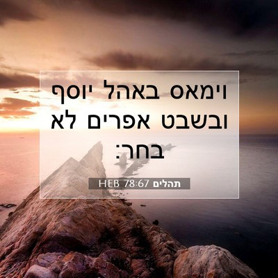 Picture 07 - תהלים 78:67 HEB - וימאס באהל יוסף ובשבט - Bible Verse Picture