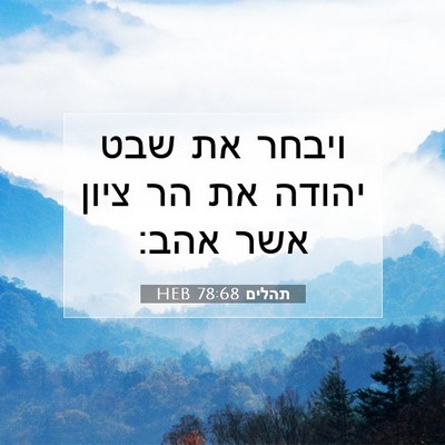 Picture 07 - תהלים 78:68 HEB - ויבחר את שבט יהודה את הר - Bible Verse Picture