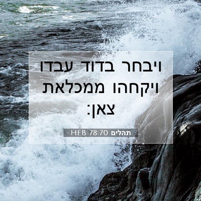 Picture 07 - תהלים 78:70 HEB - ויבחר בדוד עבדו ויקחהו - Bible Verse Picture