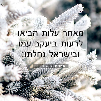 Picture 07 - תהלים 78:71 HEB - מאחר עלות הביאו לרעות - Bible Verse Picture