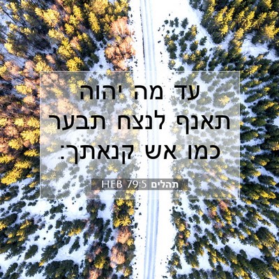 Picture 07 - תהלים 79:5 HEB - עד מה יהוה תאנף לנצח תבער - Bible Verse Picture