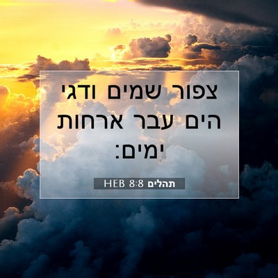 Picture 07 - תהלים 8:8 HEB - צפור שמים ודגי הים עבר - Bible Verse Picture