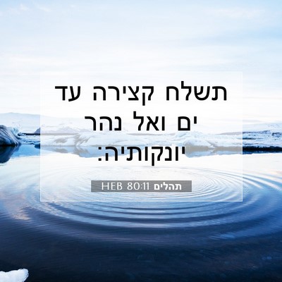 Picture 07 - תהלים 80:11 HEB - תשלח קצירה עד ים ואל נהר - Bible Verse Picture