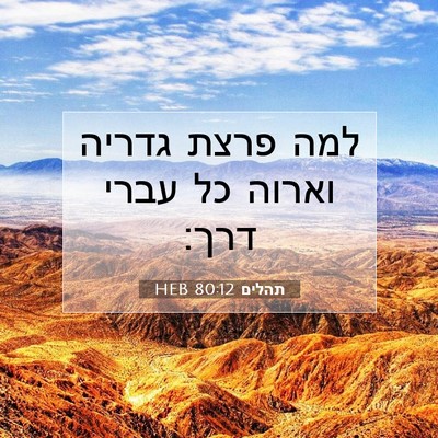 Picture 07 - תהלים 80:12 HEB - למה פרצת גדריה וארוה כל - Bible Verse Picture