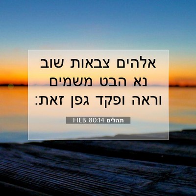 Picture 07 - תהלים 80:14 HEB - אלהים צבאות שוב נא הבט - Bible Verse Picture
