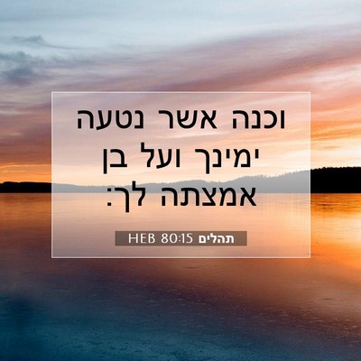 Picture 07 - תהלים 80:15 HEB - וכנה אשר נטעה ימינך ועל בן - Bible Verse Picture