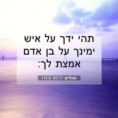 Picture 07 - תהלים 80:17 HEB - תהי ידך על איש ימינך על בן - Bible Verse Picture