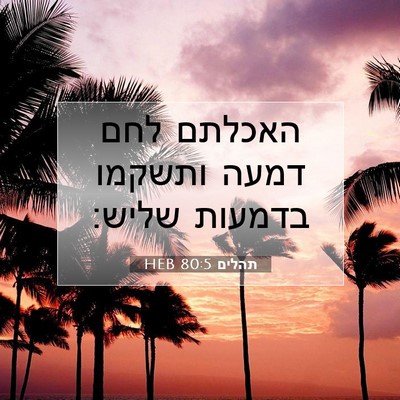 Picture 07 - תהלים 80:5 HEB - האכלתם לחם דמעה ותשקמו - Bible Verse Picture