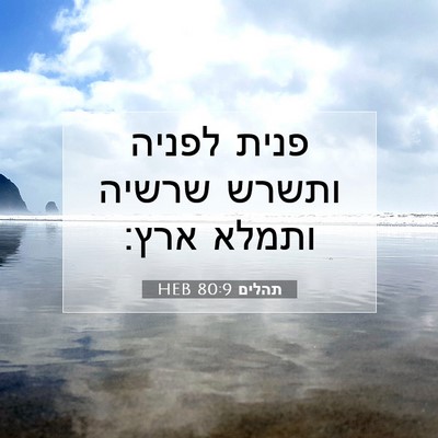 Picture 07 - תהלים 80:9 HEB - פנית לפניה ותשרש שרשיה - Bible Verse Picture