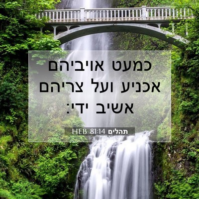 Picture 07 - תהלים 81:14 HEB - כמעט אויביהם אכניע ועל - Bible Verse Picture