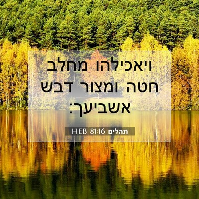 Picture 07 - תהלים 81:16 HEB - ויאכילהו מחלב חטה ומצור - Bible Verse Picture