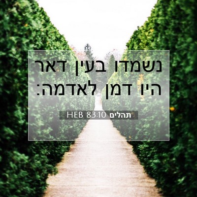 Picture 07 - תהלים 83:10 HEB - נשמדו בעין דאר היו דמן - Bible Verse Picture