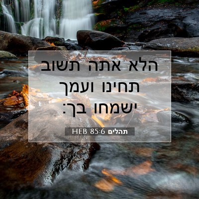Picture 07 - תהלים 85:6 HEB - הלא אתה תשוב תחינו ועמך - Bible Verse Picture