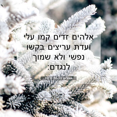 Picture 07 - תהלים 86:14 HEB - אלהים זדים קמו עלי ועדת - Bible Verse Picture