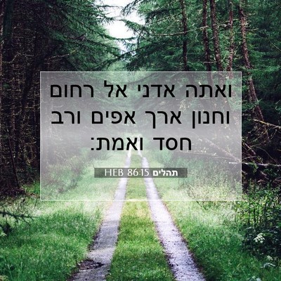 Picture 07 - תהלים 86:15 HEB - ואתה אדני אל רחום וחנון ארך - Bible Verse Picture