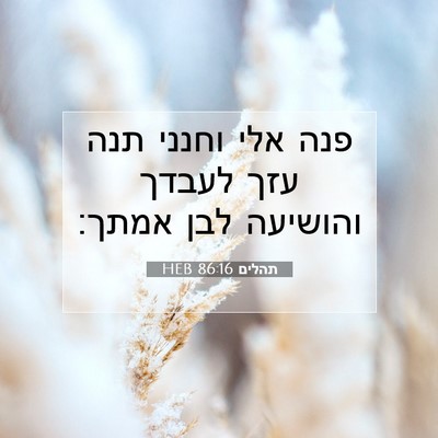 Picture 07 - תהלים 86:16 HEB - פנה אלי וחנני תנה עזך לעבדך - Bible Verse Picture