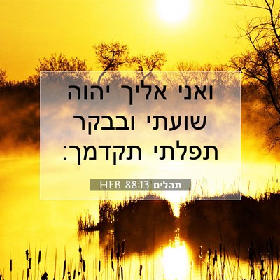 Picture 07 - תהלים 88:13 HEB - ואני אליך יהוה שועתי ובבקר - Bible Verse Picture