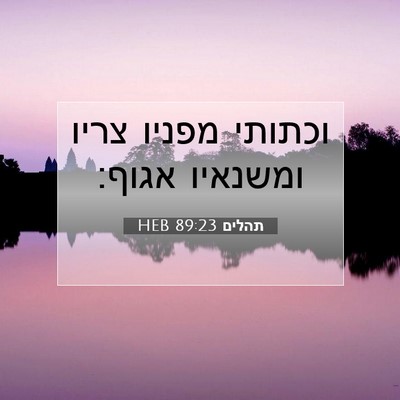 Picture 07 - תהלים 89:23 HEB - וכתותי מפניו צריו ומשנאיו - Bible Verse Picture
