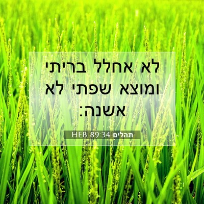 Picture 07 - תהלים 89:34 HEB - לא אחלל בריתי ומוצא שפתי לא - Bible Verse Picture