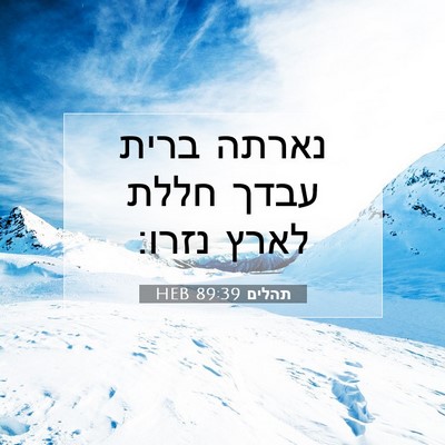 Picture 07 - תהלים 89:39 HEB - נארתה ברית עבדך חללת לארץ - Bible Verse Picture