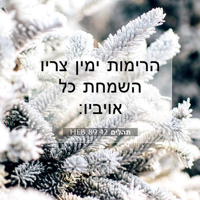 Picture 07 - תהלים 89:42 HEB - הרימות ימין צריו השמחת כל - Bible Verse Picture