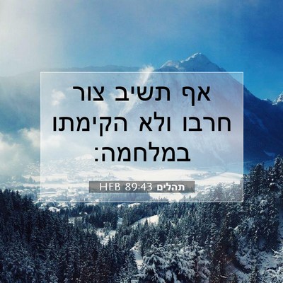 Picture 07 - תהלים 89:43 HEB - אף תשיב צור חרבו ולא הקימתו - Bible Verse Picture