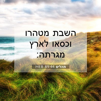 Picture 07 - תהלים 89:44 HEB - השבת מטהרו וכסאו לארץ - Bible Verse Picture