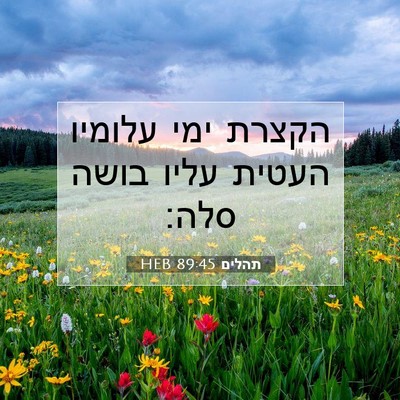 Picture 07 - תהלים 89:45 HEB - הקצרת ימי עלומיו העטית - Bible Verse Picture
