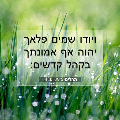 Picture 07 - תהלים 89:5 HEB - ויודו שמים פלאך יהוה אף - Bible Verse Picture