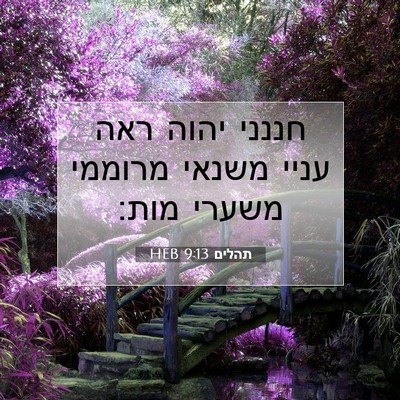 Picture 07 - תהלים 9:13 HEB - חננני יהוה ראה עניי משנאי - Bible Verse Picture