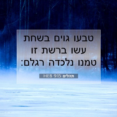 Picture 07 - תהלים 9:15 HEB - טבעו גוים בשחת עשו ברשת זו - Bible Verse Picture