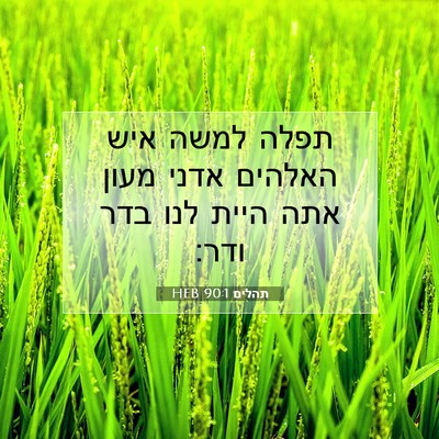 Picture 07 - תהלים 90:1 HEB - תפלה למשה איש האלהים אדני - Bible Verse Picture