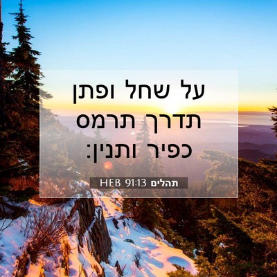 Picture 07 - תהלים 91:13 HEB - על שחל ופתן תדרך תרמס כפיר - Bible Verse Picture
