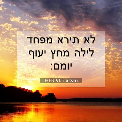 Picture 07 - תהלים 91:5 HEB - לא תירא מפחד לילה מחץ יעוף - Bible Verse Picture