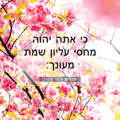 Picture 07 - תהלים 91:9 HEB - כי אתה יהוה מחסי עליון שמת - Bible Verse Picture