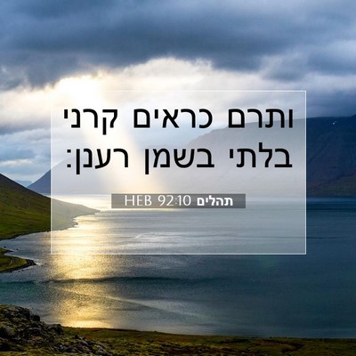 Picture 07 - תהלים 92:10 HEB - ותרם כראים קרני בלתי בשמן - Bible Verse Picture