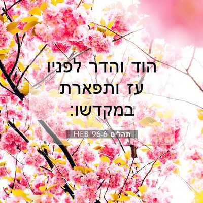 Picture 07 - תהלים 96:6 HEB - הוד והדר לפניו עז ותפארת - Bible Verse Picture