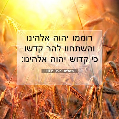 Picture 07 - תהלים 99:9 HEB - רוממו יהוה אלהינו והשתחוו - Bible Verse Picture
