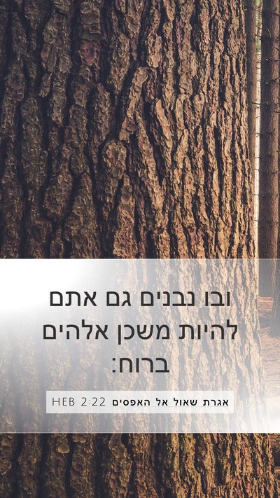 אגרת שאול אל האפסים 2:22 HEB Bible Verse Image