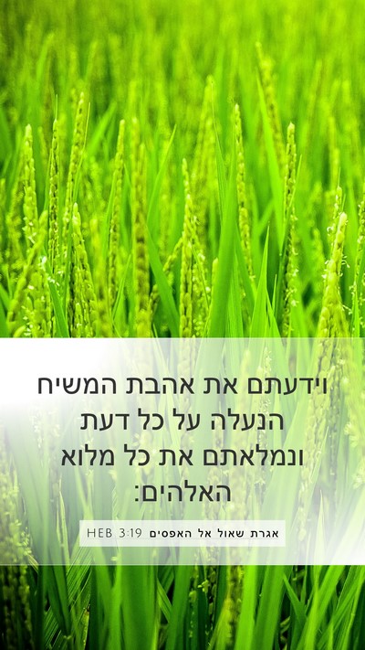 אגרת שאול אל האפסים 3:19 HEB Bible Verse Image