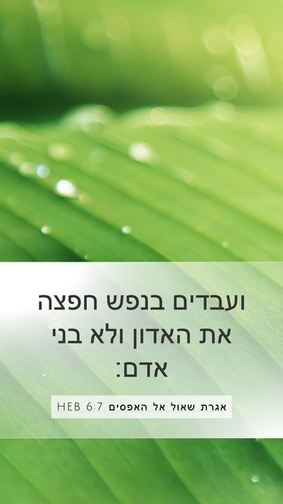 אגרת שאול אל האפסים 6:7 HEB Mobile Phone Wallpaper - ועבדים בנפש חפצה את האדון - Mobile Bible Verse Wallpaper