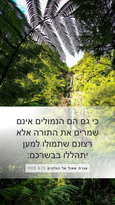 אגרת שאול אל הגלטים 6:13 HEB Bible Verse Image