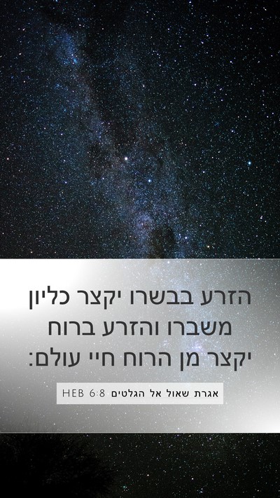 אגרת שאול אל הגלטים 6:8 HEB Bible Verse Image