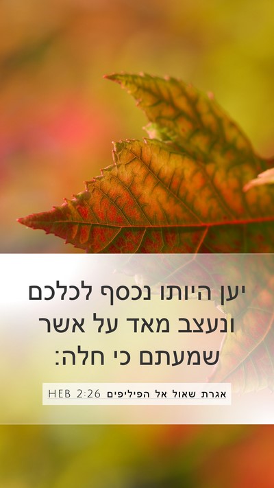 אגרת שאול אל הפיליפים 2:26 HEB Bible Verse Image