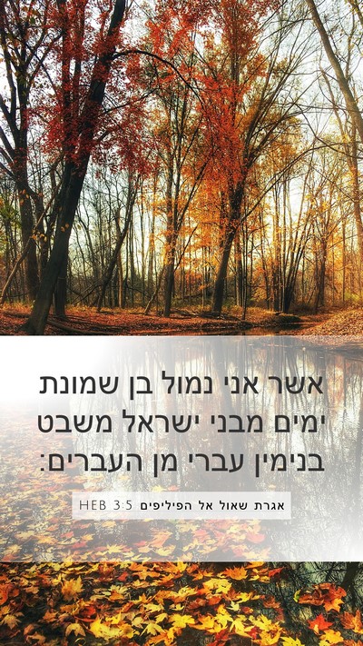 אגרת שאול אל הפיליפים 3:5 HEB Bible Verse Image