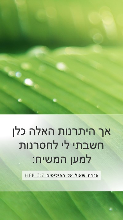 אגרת שאול אל הפיליפים 3:7 HEB Bible Verse Image
