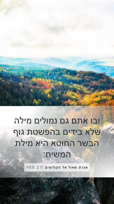 אגרת שאול אל הקולוסים 2:11 HEB Bible Verse Image