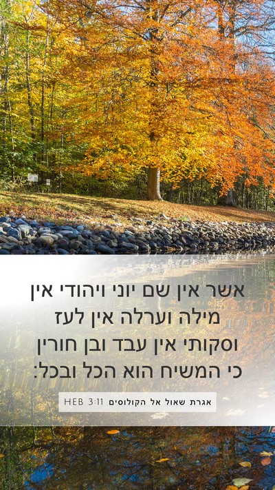 אגרת שאול אל הקולוסים 3:11 HEB Bible Verse Image