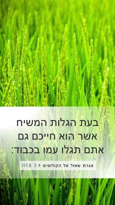 אגרת שאול אל הקולוסים 3:4 HEB Bible Verse Image